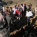 اخبار قوه قضاییه
