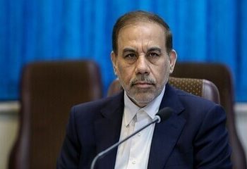 آخرین وضعیت پرونده کلثوم اکبری و پرونده‌های اقتصادی از زبان سخنگوی قوه قضاییه