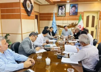 وصول ماهانه تا ۲۰ میلیارد تومان عوارض خودرو با ورود دادگستری بوشهر
