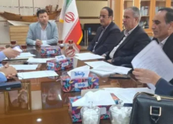 حمایت از اطفال و نوجوانان در بوشهر نیازمند هم‌افزایی دستگاه‌ها است