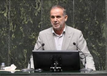 فیاضی: مشکلات داخلی با هماهنگی و همدلی بین قوای مختلف قابل حل است